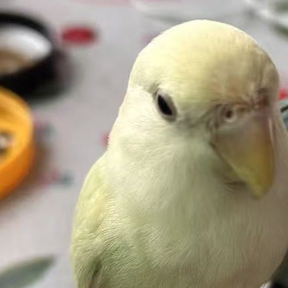 想想